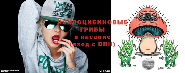 скорость Алзамай