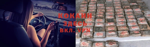 скорость Алзамай