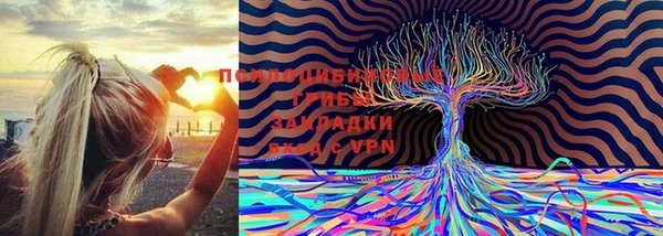 ешки Нея