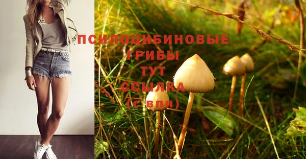 амф Алексин